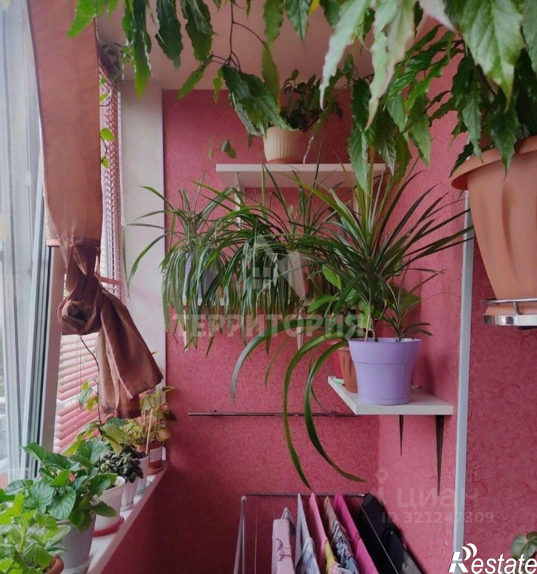 Купить квартиру за 5 500 000 рублей на Китицынская улица, 8