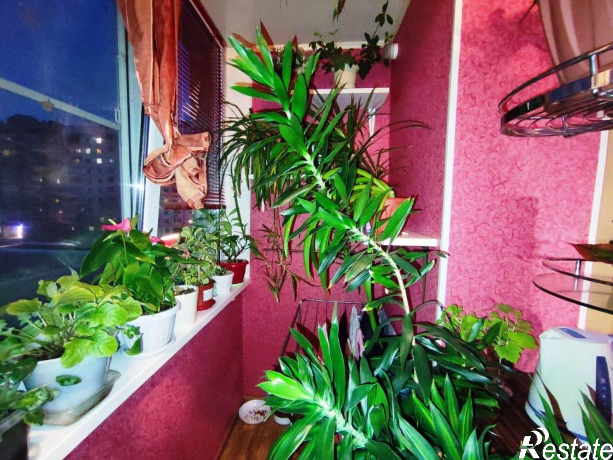 Купить квартиру за 5 500 000 рублей на Китицынская ул, 8