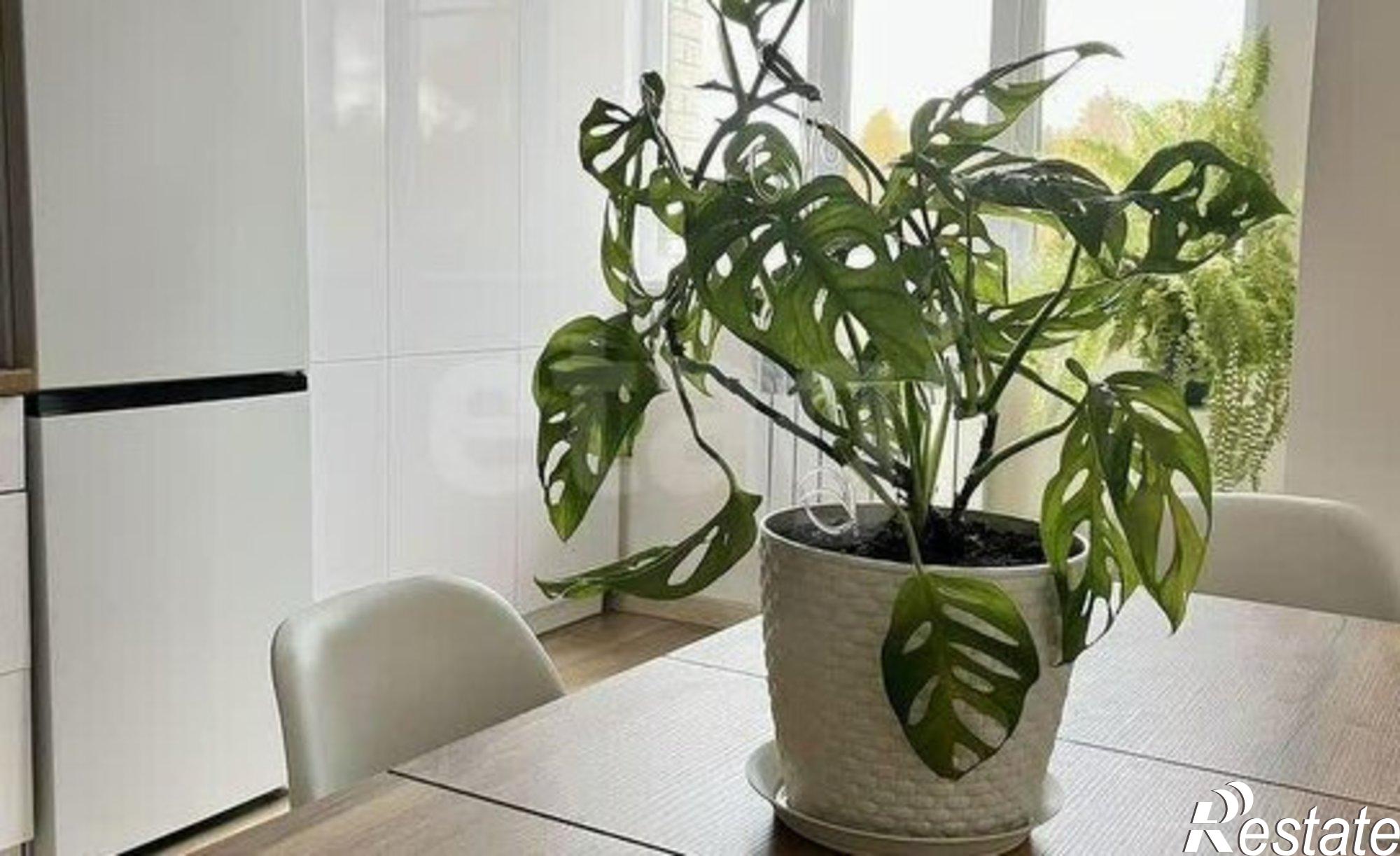 Купить квартиру за 7 200 000 рублей на улица Олега Юрасова, 27