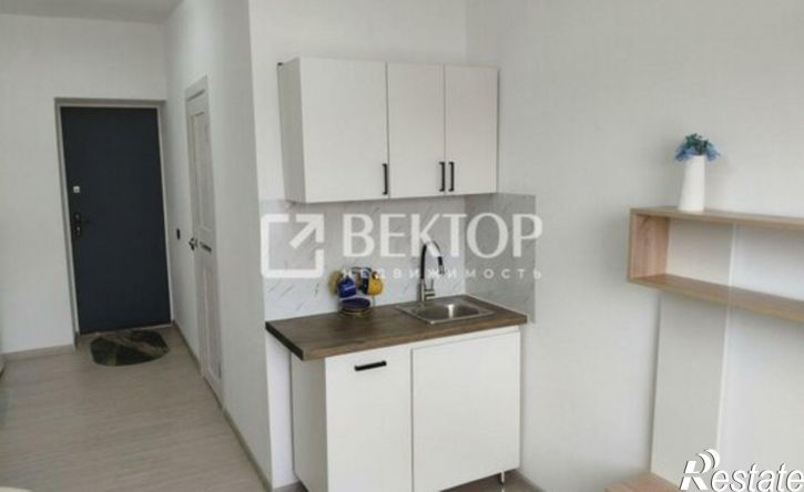 1-комн квартира Центральная улица, 48,  д. 48