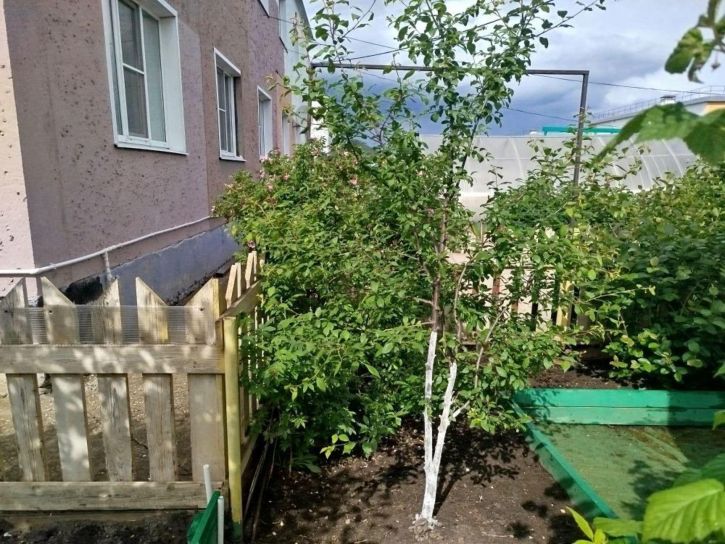 2-комн квартира Антроповский проезд, 3