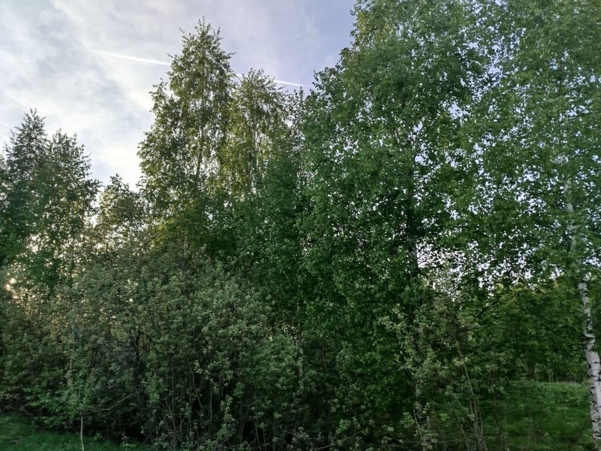Купить дачу, дом, коттедж за 8 200 000 рублей на Любавино мик., 52