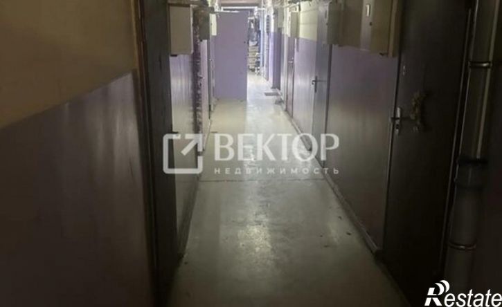 1-комн квартира Центральная улица, 48,  д. 48
