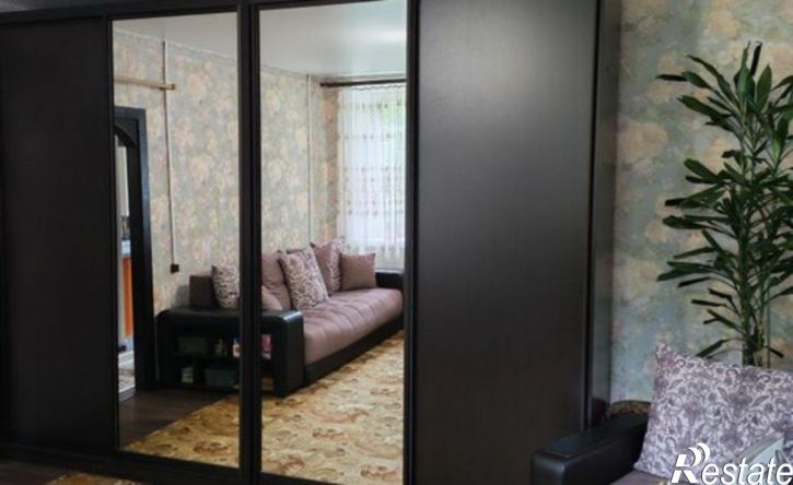 1-комн квартира ул Центральная 2-я, 14а,  д. 14а