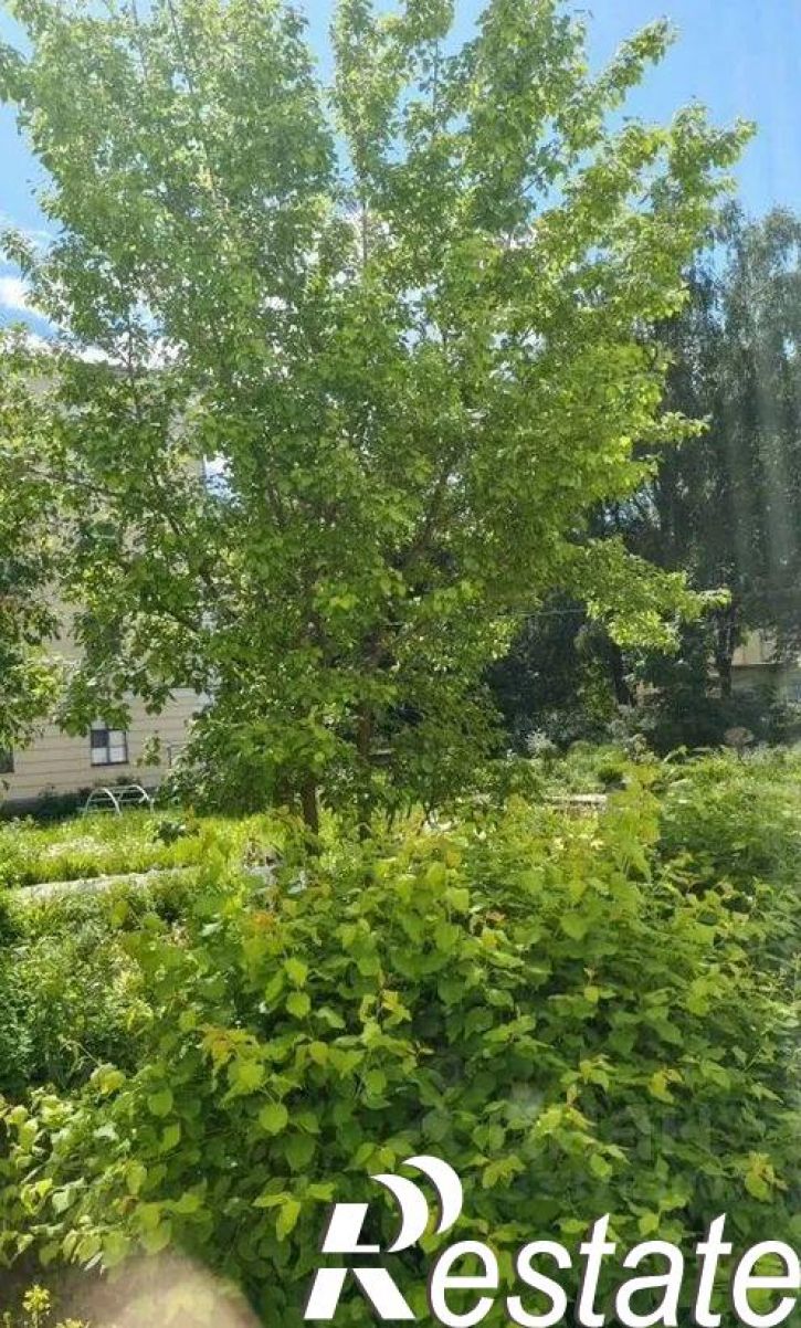 1-комн квартира Строительный проезд, 6,  д. 6